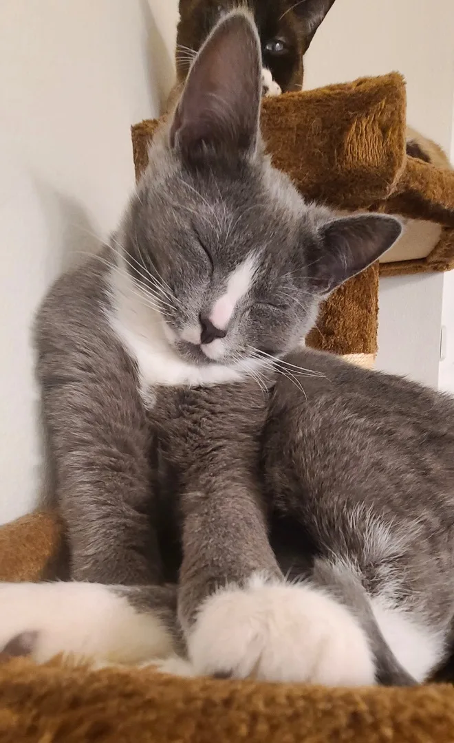 Erin & Armin Bonded thumbnail 2