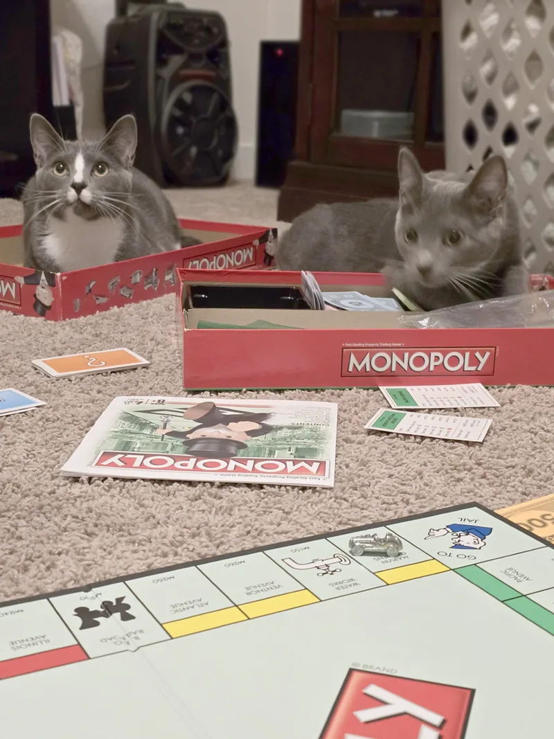 Erin & Armin Bonded thumbnail 3