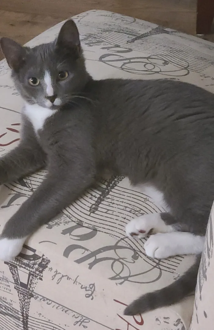 Erin & Armin Bonded thumbnail 4