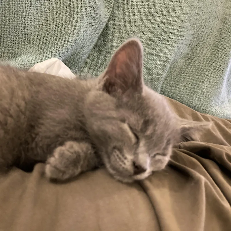 Endo And Secret thumbnail 3