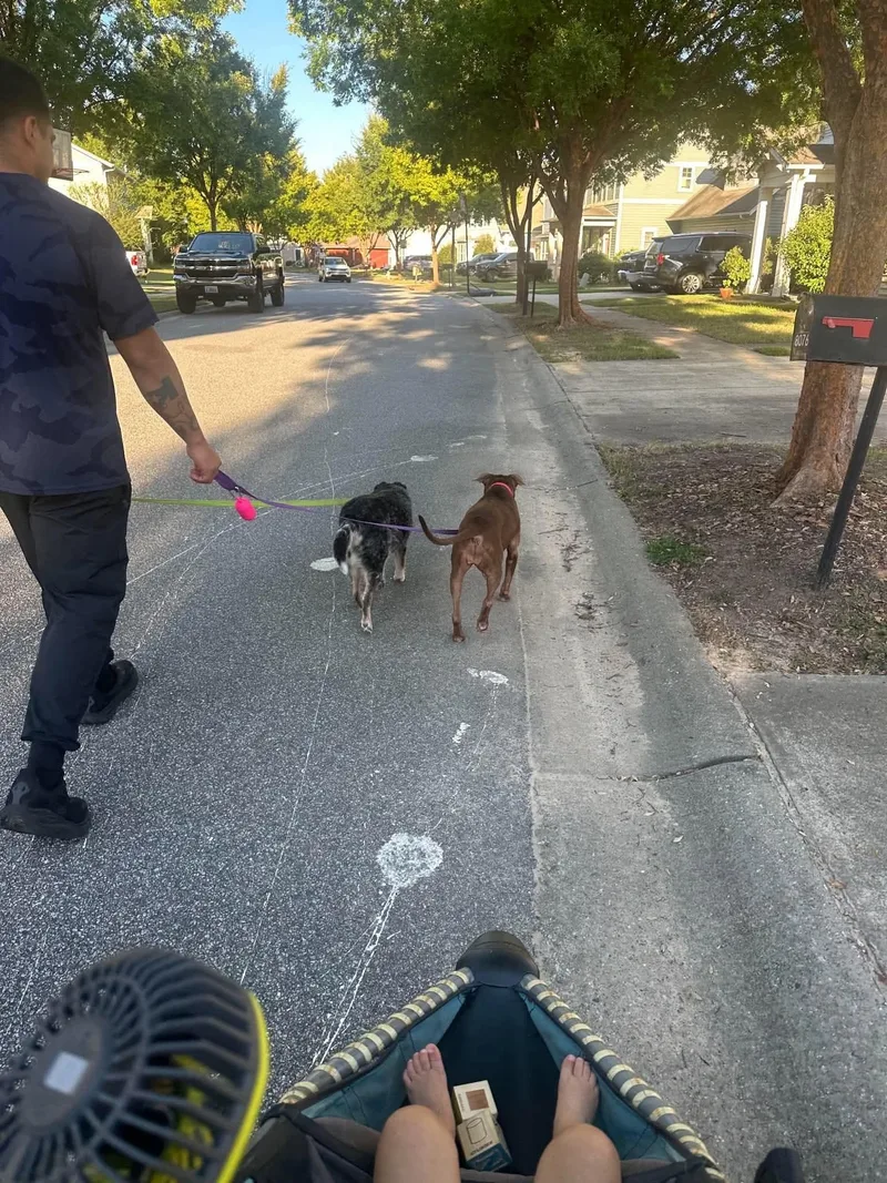 Millie & Lulu thumbnail 5