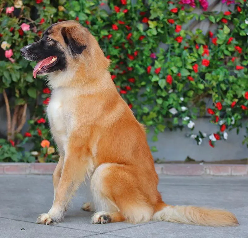 Rina Von Ranis thumbnail 2