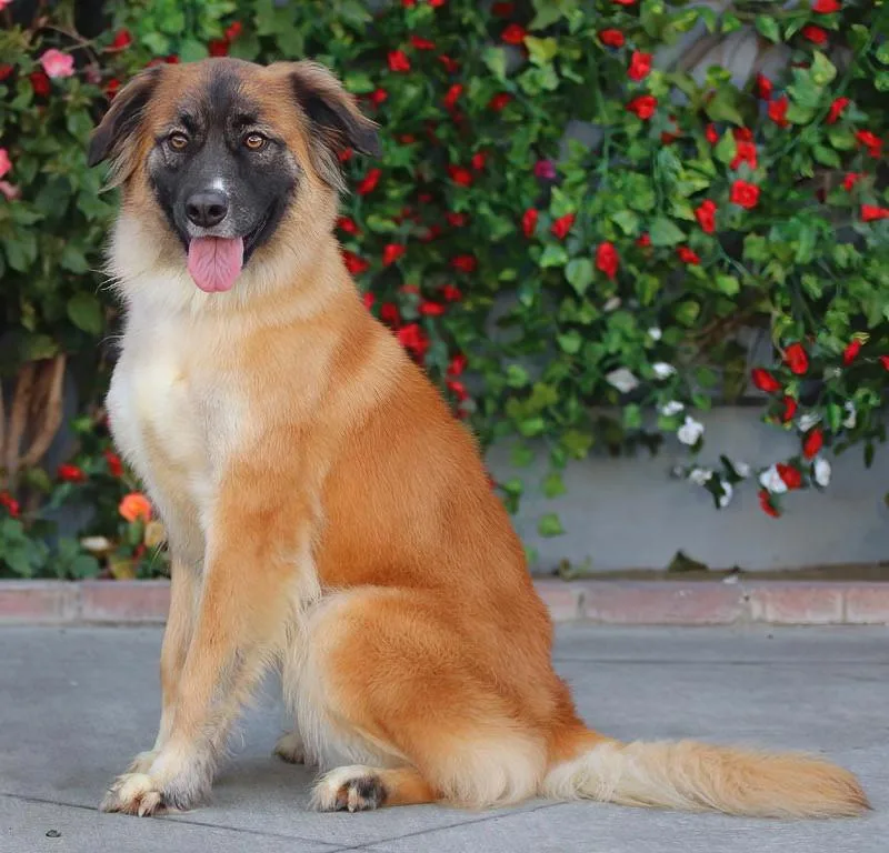 Rina Von Ranis thumbnail 3