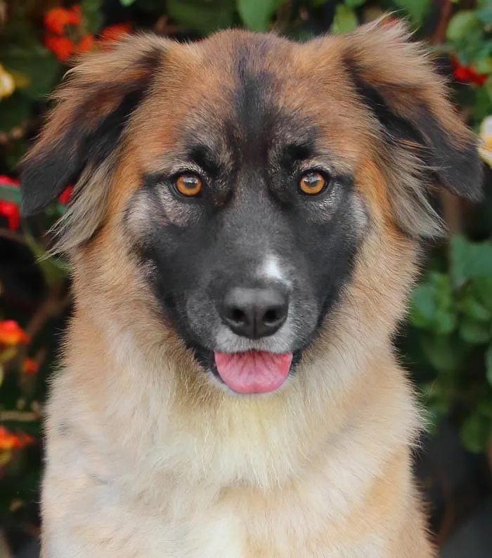 Rina Von Ranis thumbnail 5