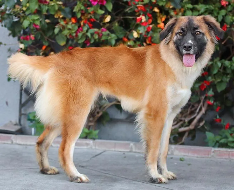 Rina Von Ranis thumbnail 6