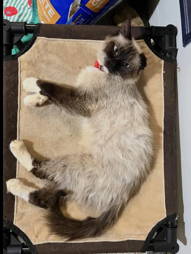 Sabrina