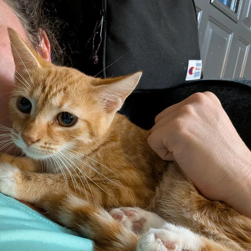 Delilah thumbnail 3