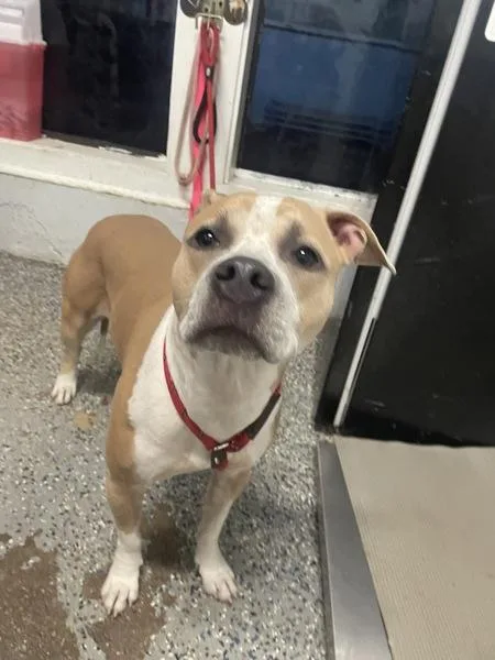 Fiona