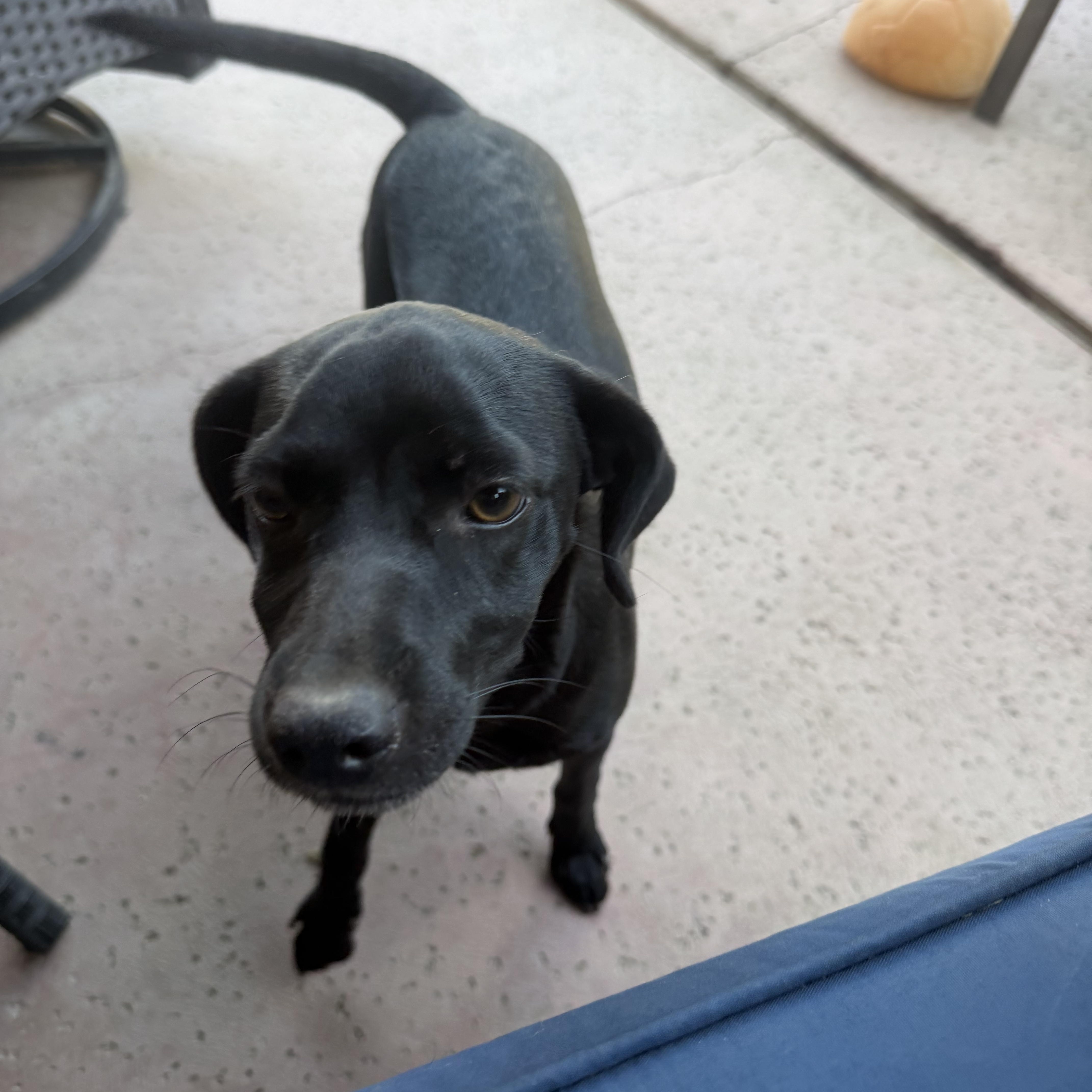 Zoey thumbnail 3