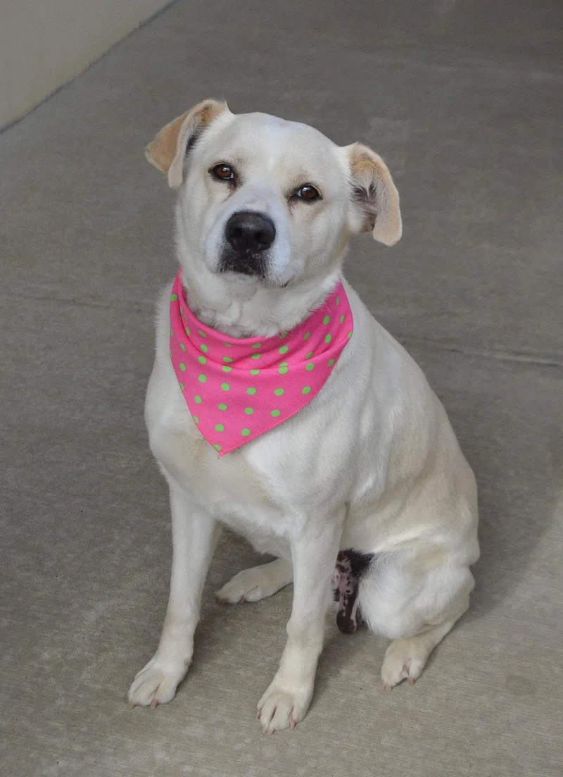 Lady Bugsy thumbnail 2