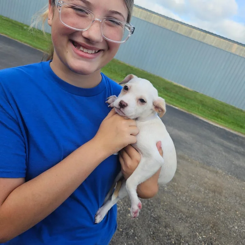Vidi thumbnail 6