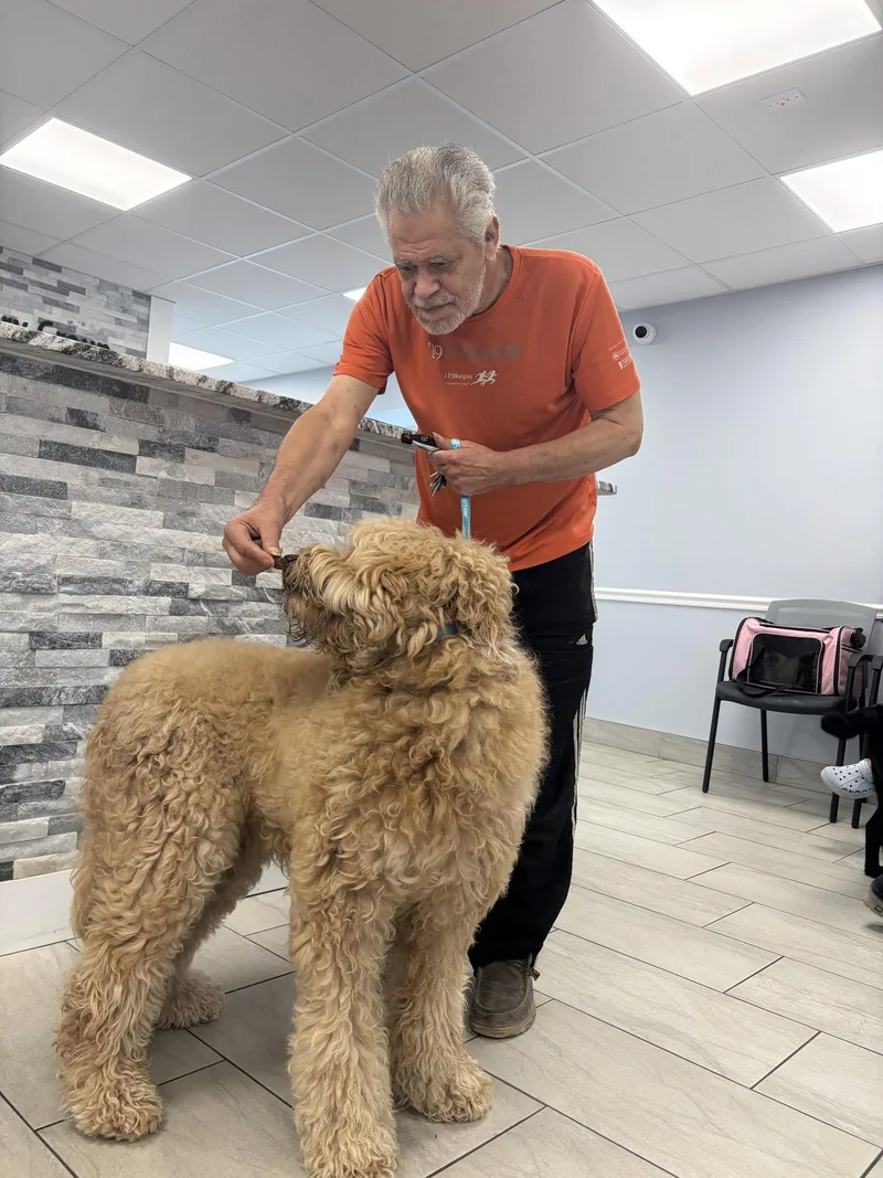 Louie & Nala thumbnail 3
