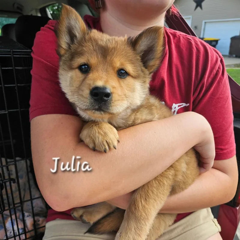 Julia