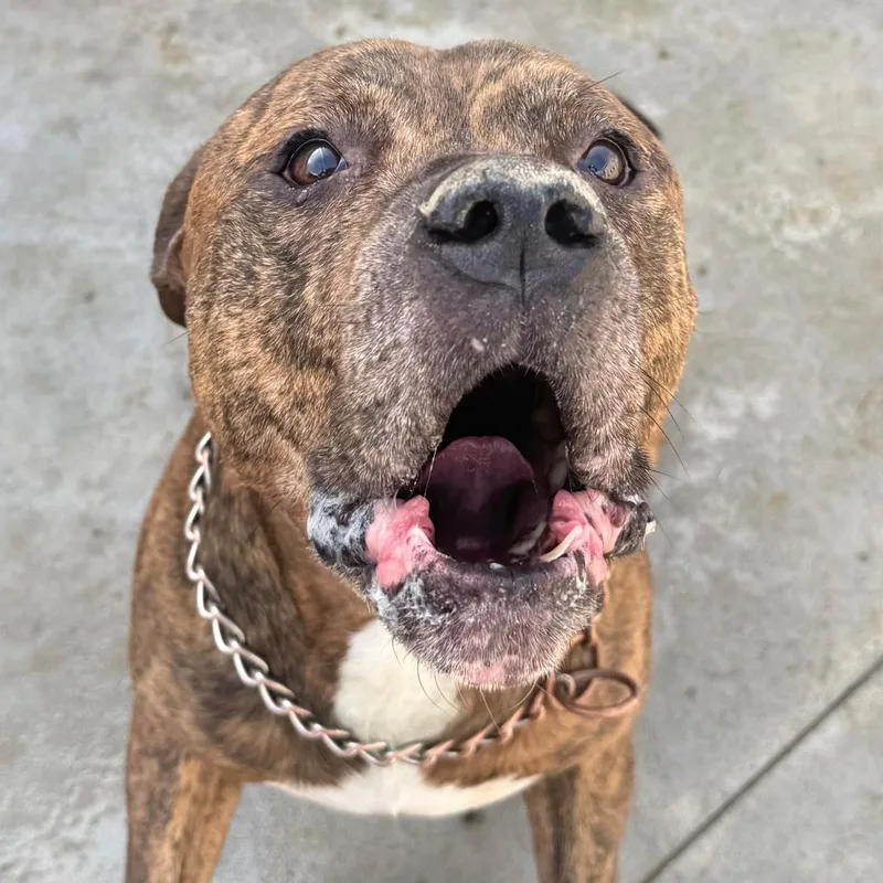 Michelin thumbnail 2