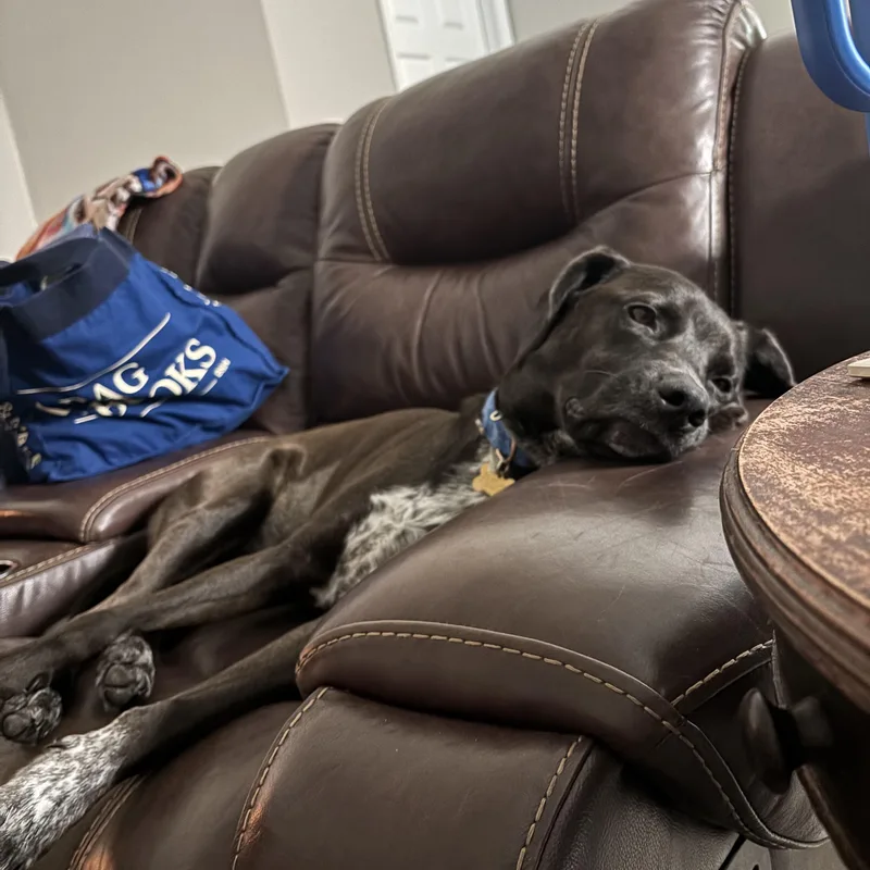 Fudge thumbnail 4
