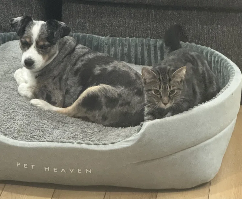 Reese and Rolo thumbnail 5
