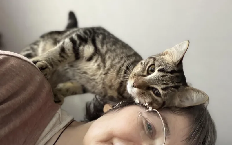 Reese and Rolo thumbnail 6