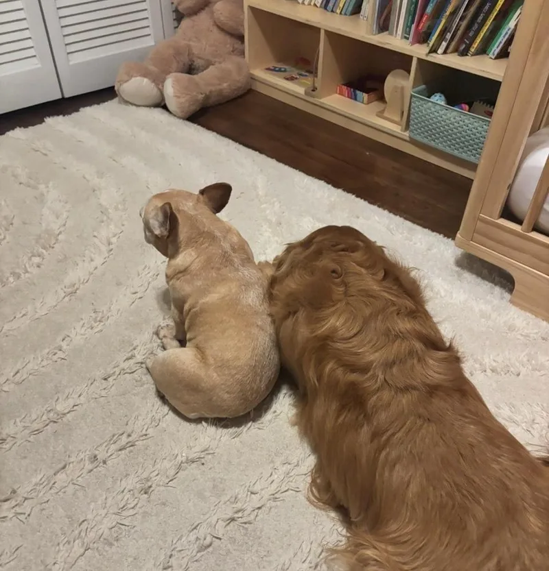 Ruby Jean thumbnail 2