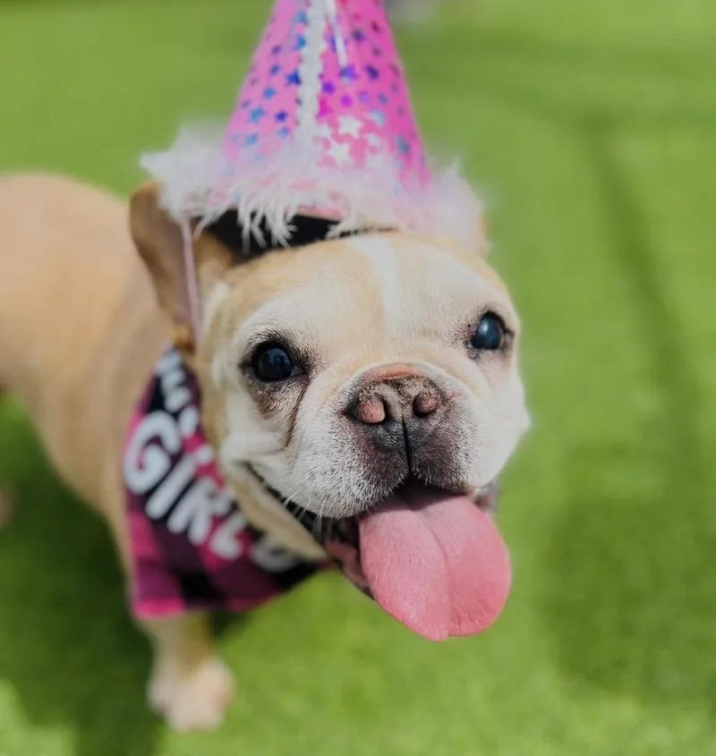 Ruby Jean thumbnail 3