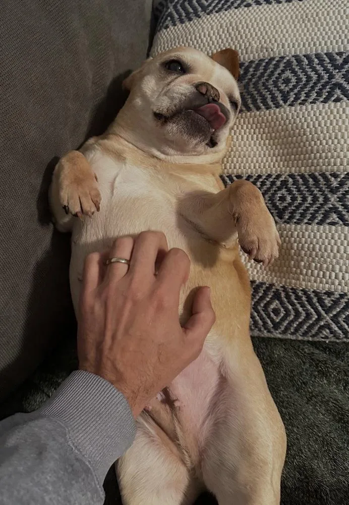 Ruby Jean thumbnail 4