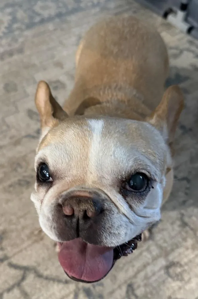 Ruby Jean thumbnail 5