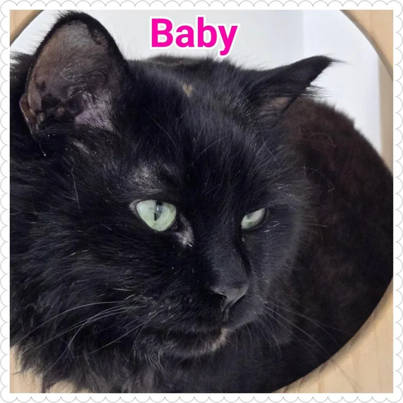 Baby thumbnail 2