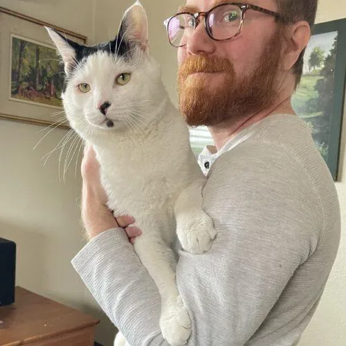 Love Bug thumbnail 2