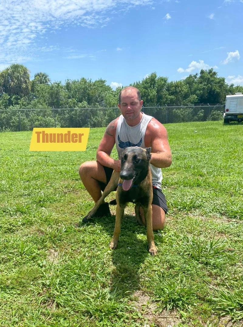 Thunder thumbnail 3