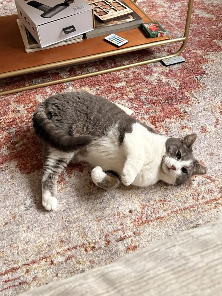 Princess Buttercup thumbnail 3