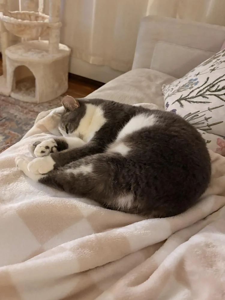 Princess Buttercup thumbnail 5