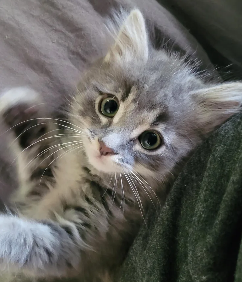 Sabrina thumbnail 5