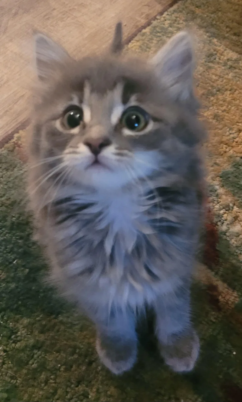 Sabrina thumbnail 6