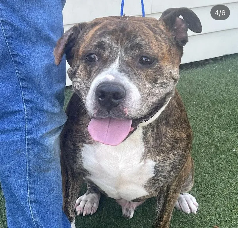 Little Bear thumbnail 3