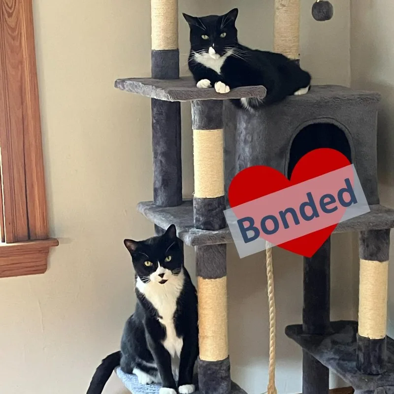 Marley & Rae thumbnail 3