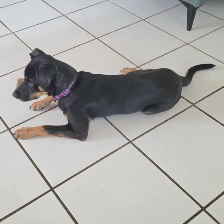 Lola Lulu "i Want thumbnail 3