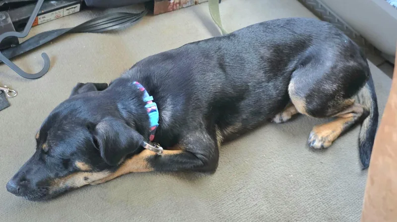 Lola Lulu "i Want thumbnail 4