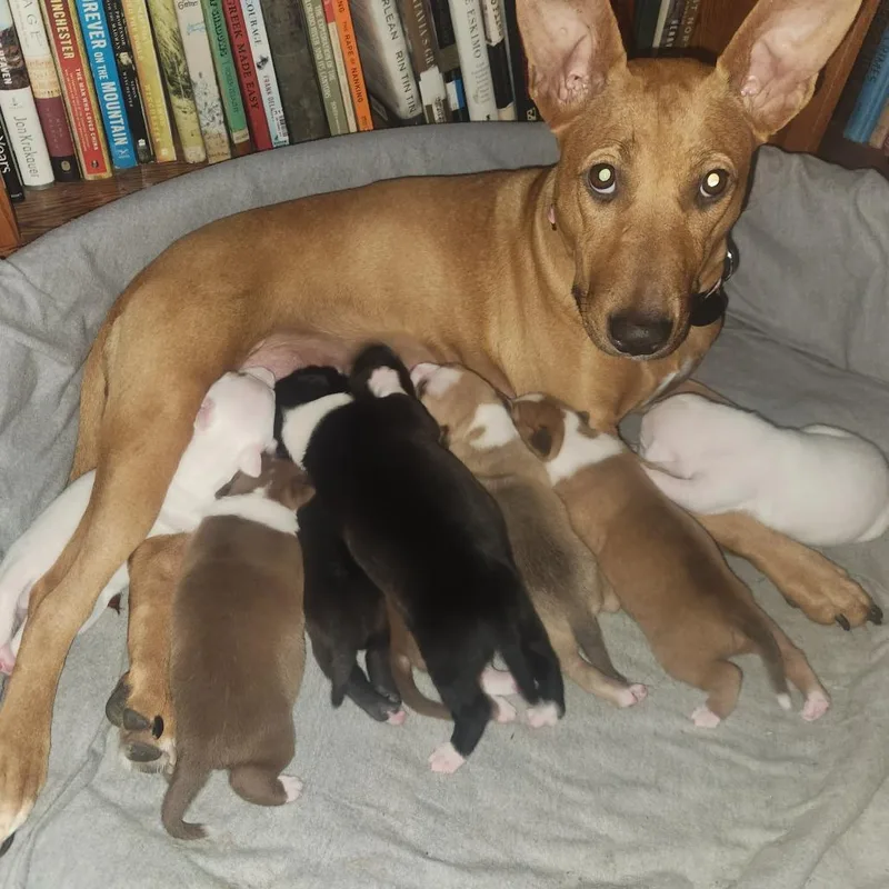 Elora  Costa Mesa thumbnail 2