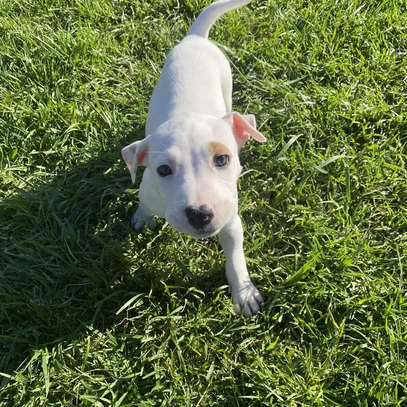 Elora  Costa Mesa thumbnail 3