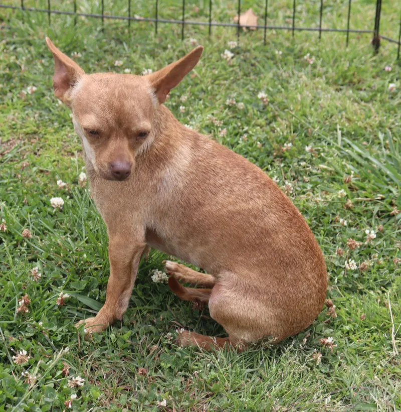 Betty Mae