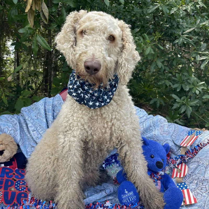 Luke