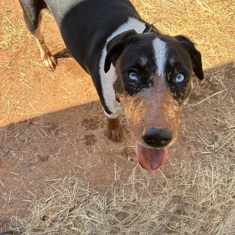 Elizabeth thumbnail 2