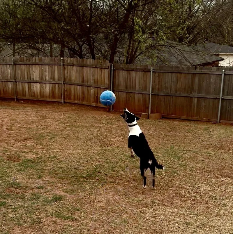 Elizabeth thumbnail 3