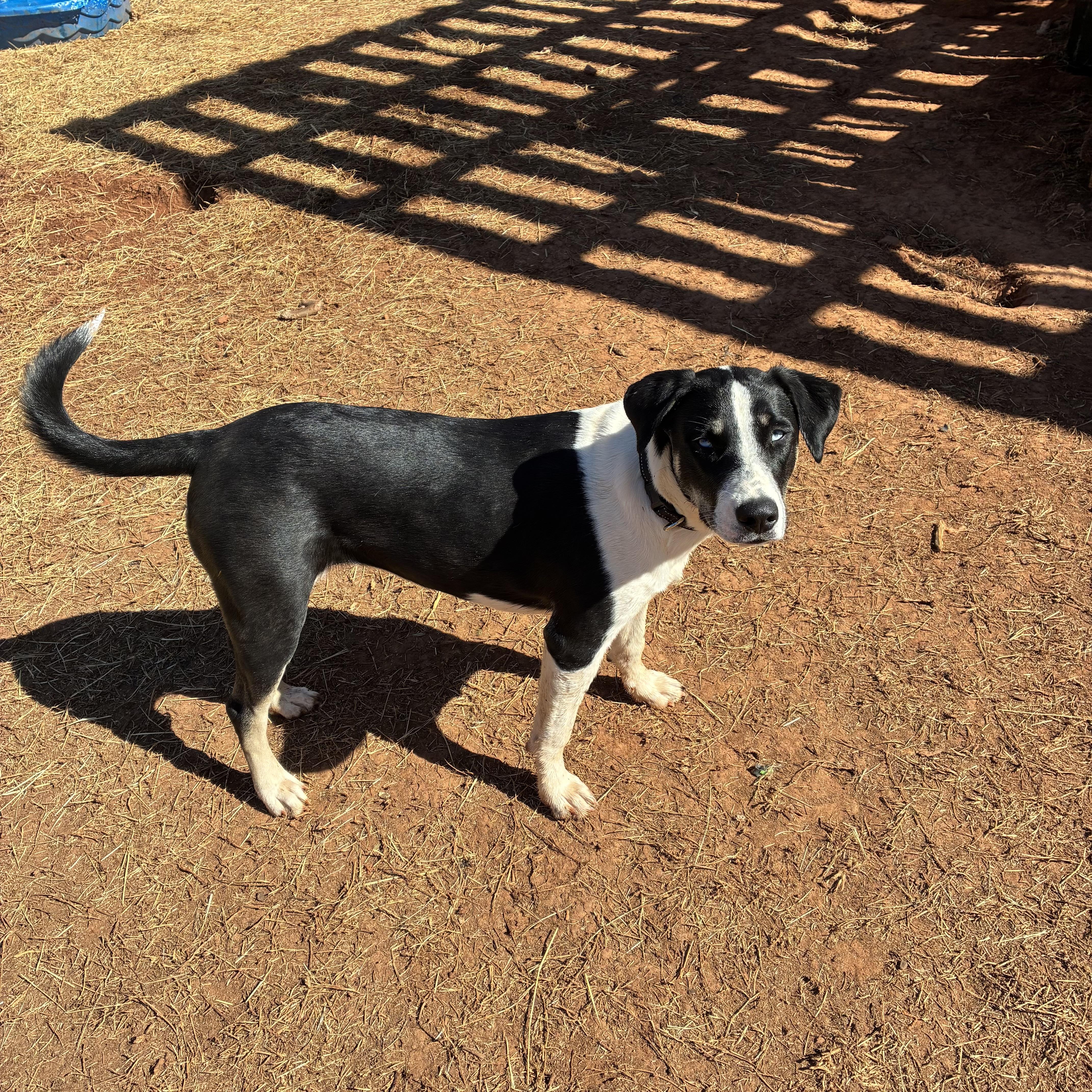 Elizabeth thumbnail 4