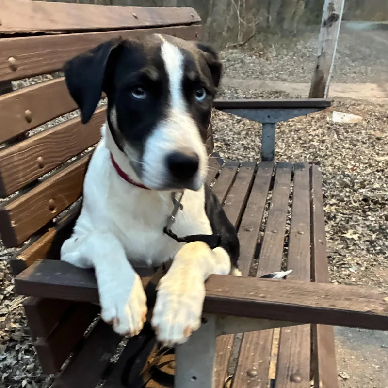 Elizabeth thumbnail 5