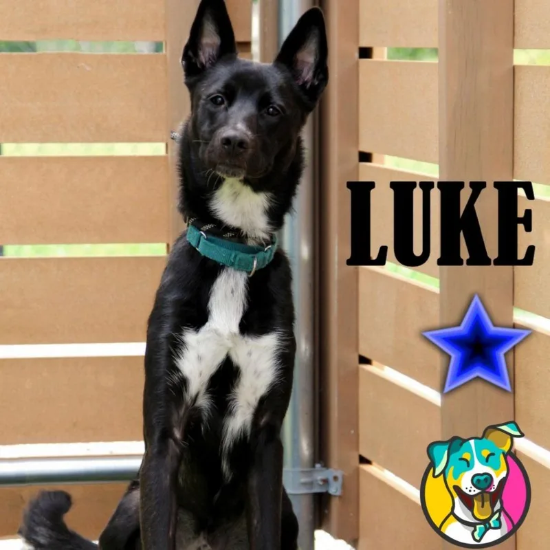 Luke thumbnail 5