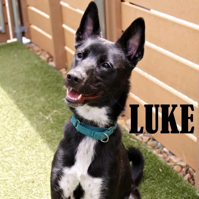 Luke thumbnail 6
