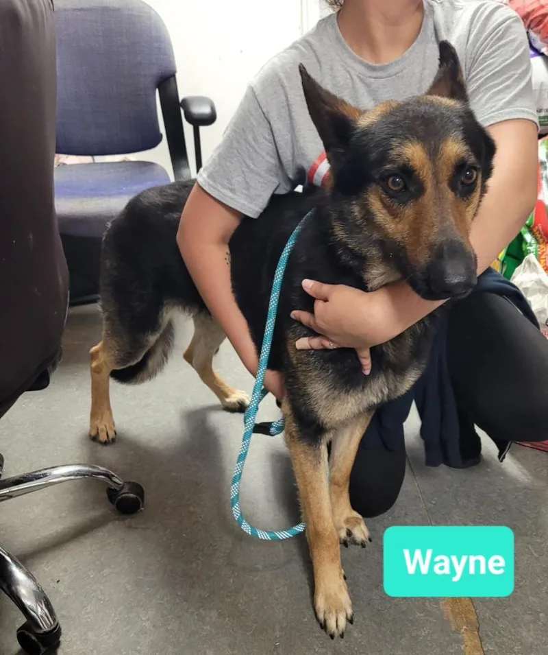 Waynesponsored thumbnail 2