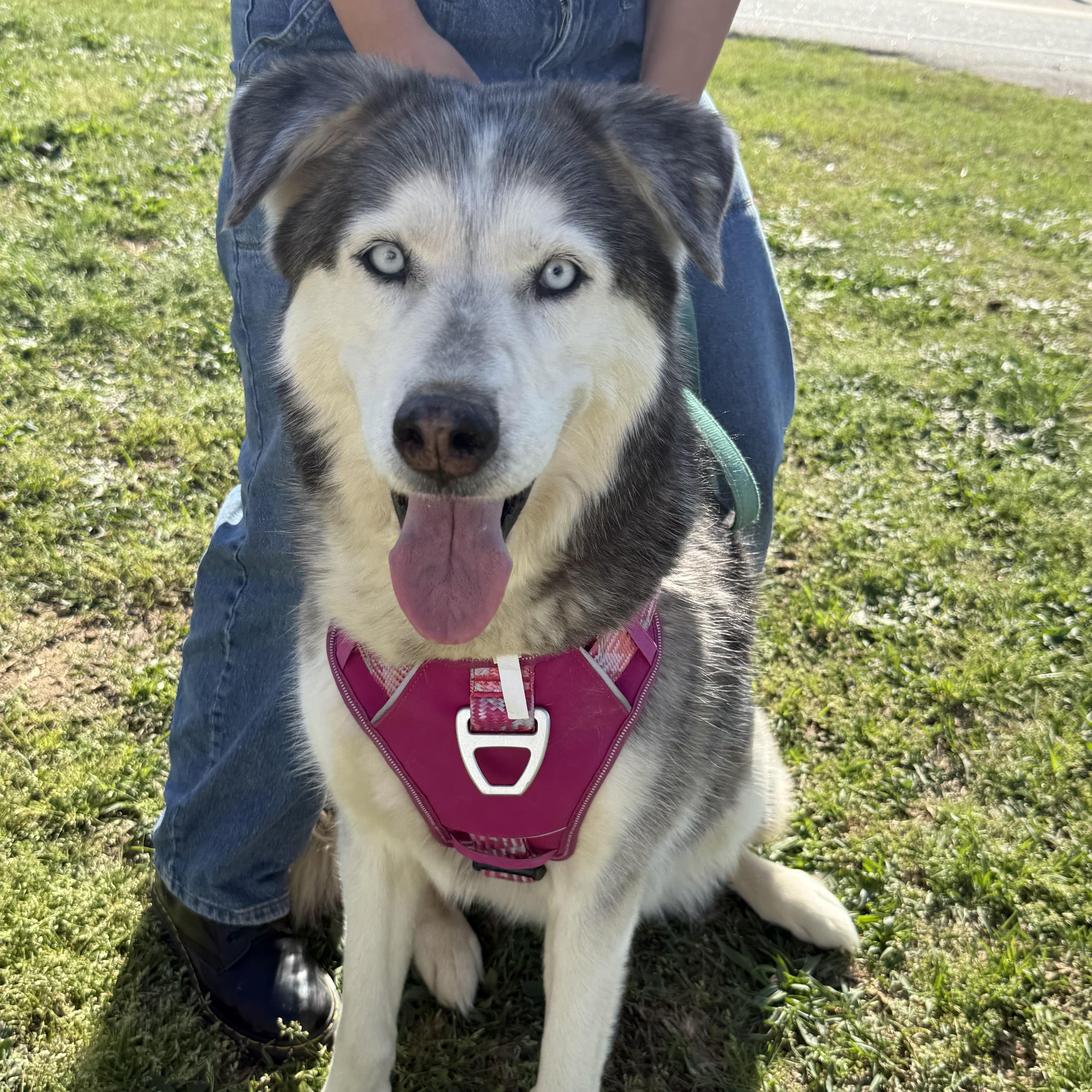 Miska & Eko thumbnail 2