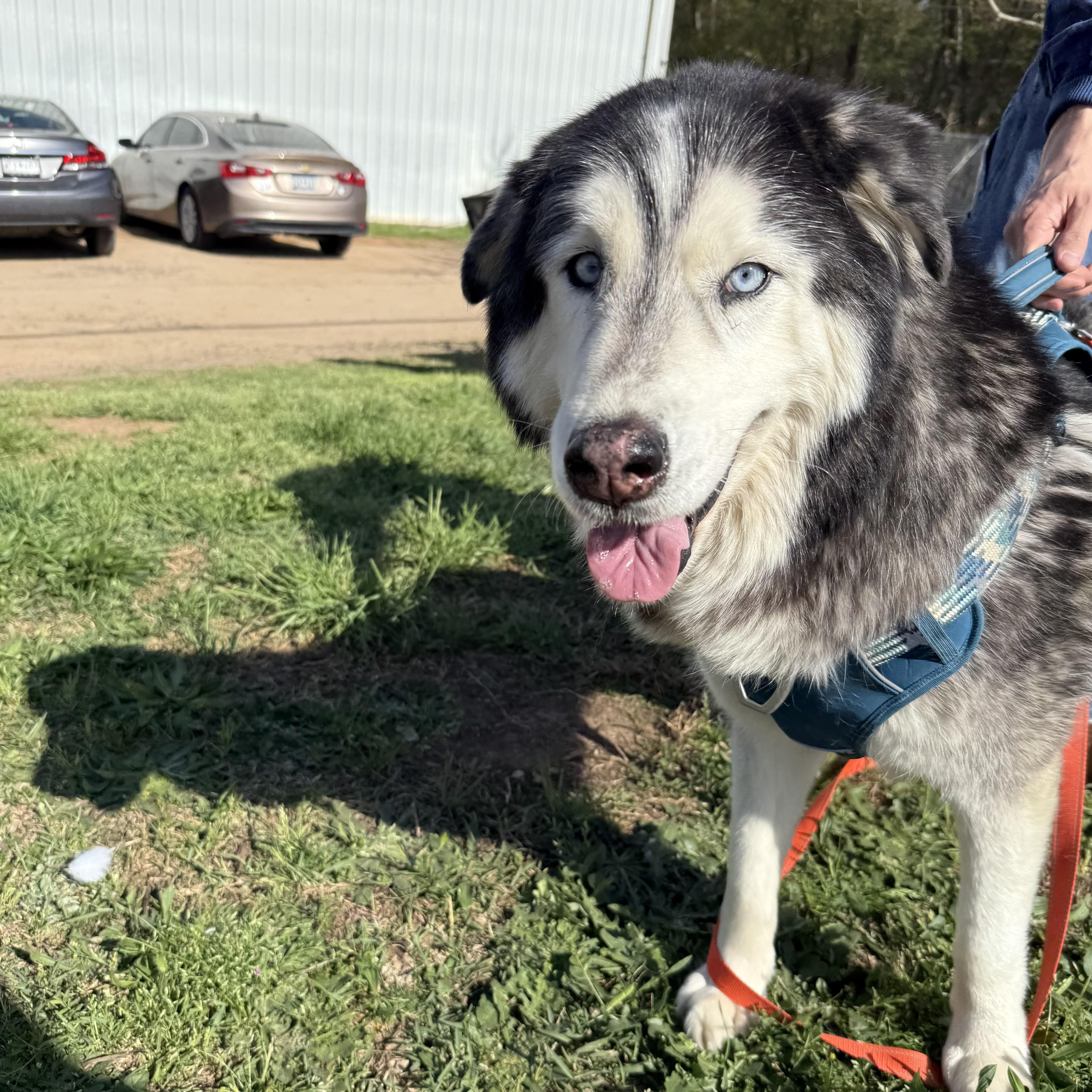 Miska & Eko thumbnail 3