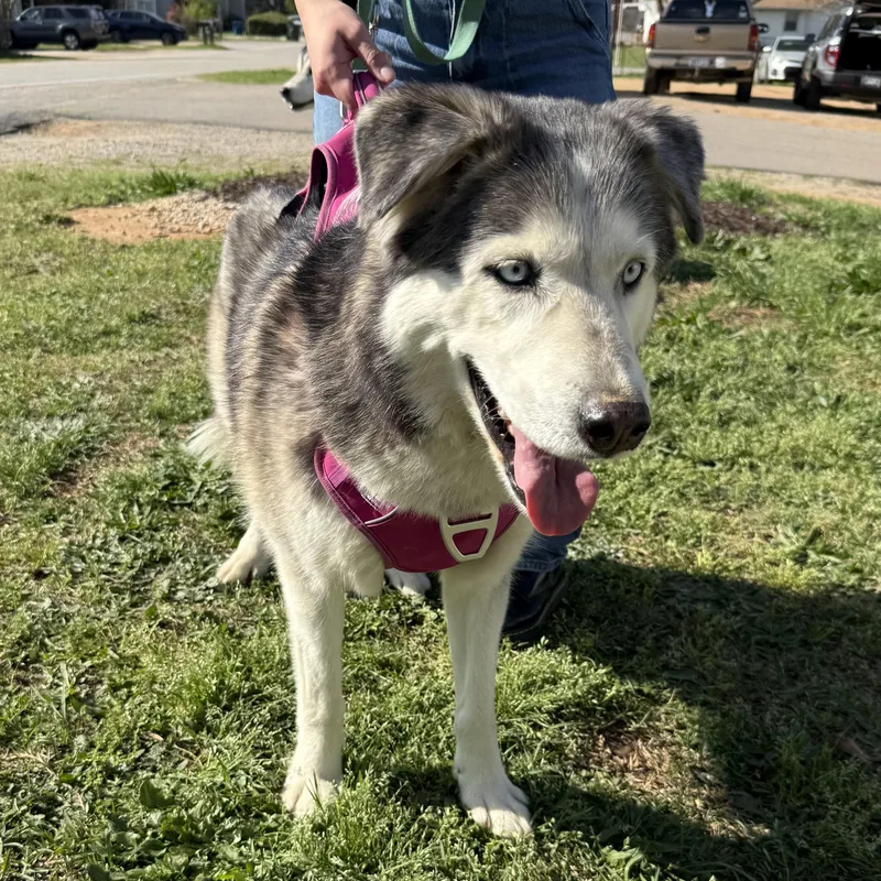 Miska & Eko thumbnail 5